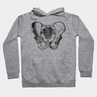 Human Body - Pelvis Hoodie